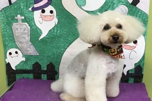 10月のお友達☆