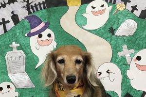 10月のお友達☆