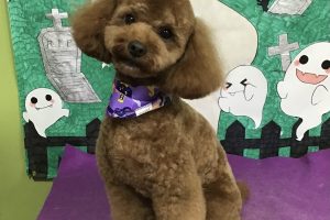 10月のお友達☆