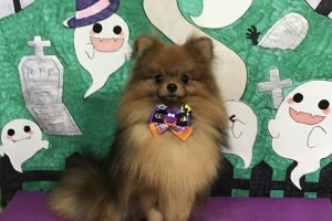 10月のお友達☆
