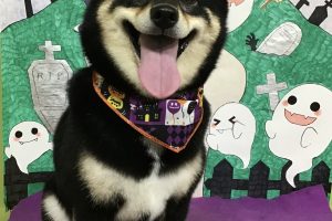 10月のお友達☆