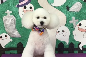 10月のお友達☆