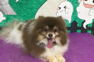 10月のお友達☆