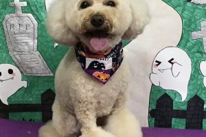 10月のお友達☆