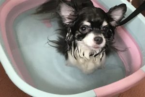 10月のお友達☆