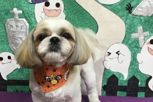 10月のお友達☆