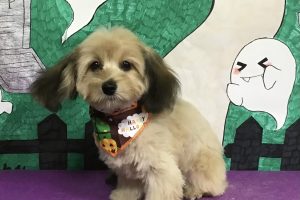 10月のお友達☆