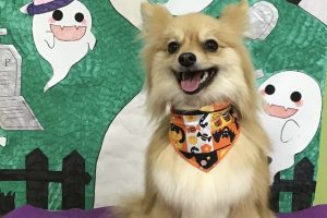 10月のお友達☆