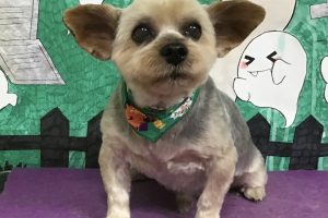 10月のお友達☆