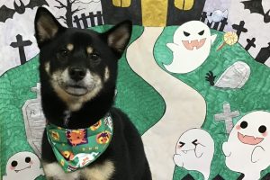 10月のお友達☆