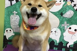 10月のお友達☆