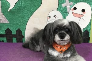10月のお友達☆