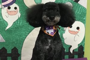10月のお友達☆