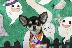 10月のお友達☆