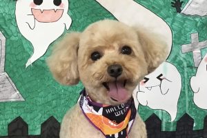 10月のお友達☆