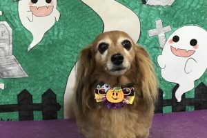 10月のお友達☆