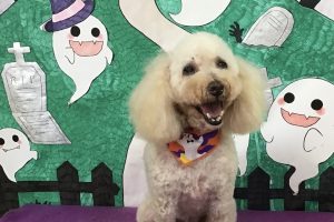10月のお友達☆