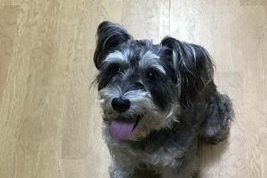 お泊まり中☆