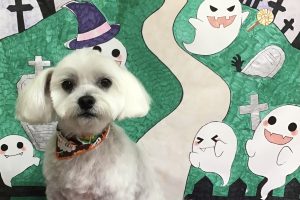 10月のお友達☆