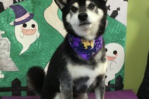 10月のお友達☆