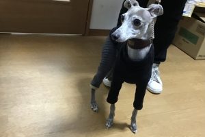 お泊り☆