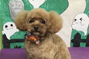 10月のお友達☆