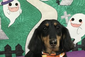 10月のお友達☆
