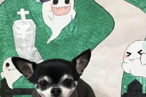 10月のお友達☆