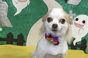 10月のお友達☆