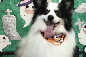 10月のお友達☆