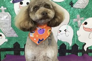 10月のお友達☆