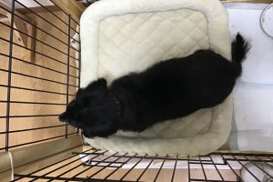 お泊まり中☆