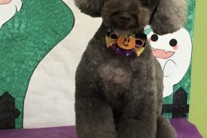 10月のお友達☆