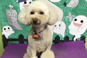10月のお友達☆