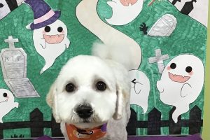 10月のお友達☆