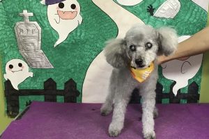 10月のお友達☆