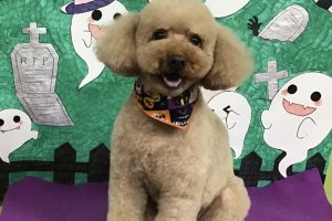 10月のお友達☆