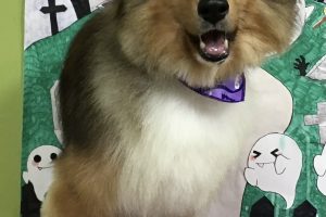10月のお友達☆