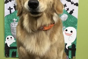 10月のお友達☆