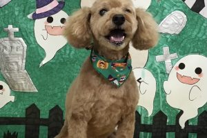 10月のお友達☆