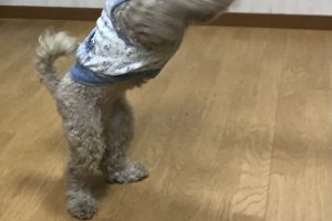 お泊まり☆
