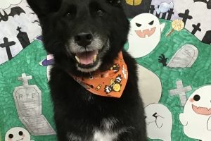 10月のお友達☆