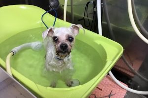10月のお友達☆