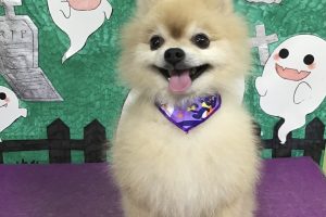 10月のお友達☆