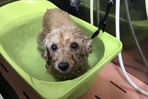 10月のお友達☆