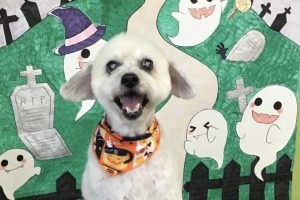 10月のお友達☆