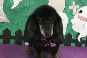 10月のお友達☆