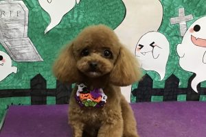 10月のお友達☆