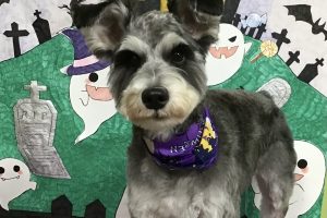 10月のお友達☆
