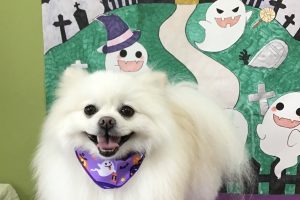 10月のお友達☆